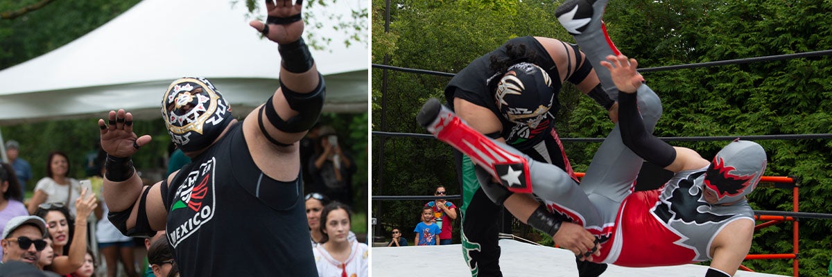 Lucha Libre Internationale