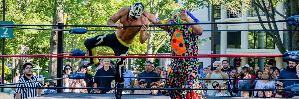 Lucha Libre Internationale