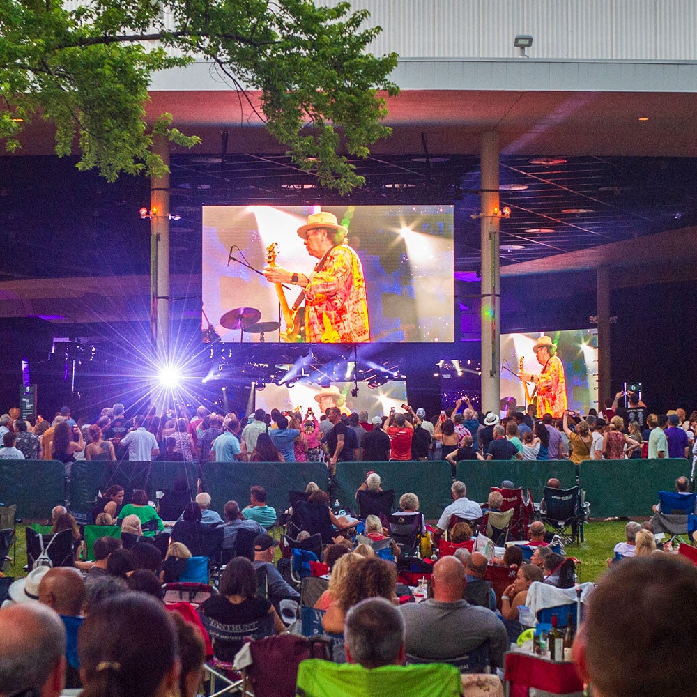 Video screen facing the South Lawn